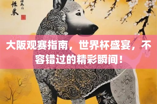 大阪观赛指南，世界杯盛宴，不容错过的精彩瞬间！