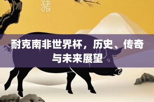 耐克南非世界杯，历史、传奇与未来展望