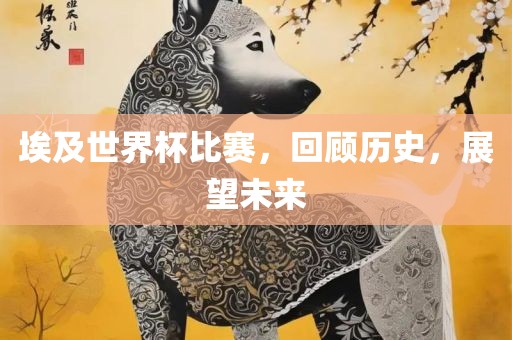 埃及世界杯比赛，回顾历史，展望未来