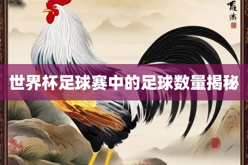 世界杯足球赛中的足球数量揭秘