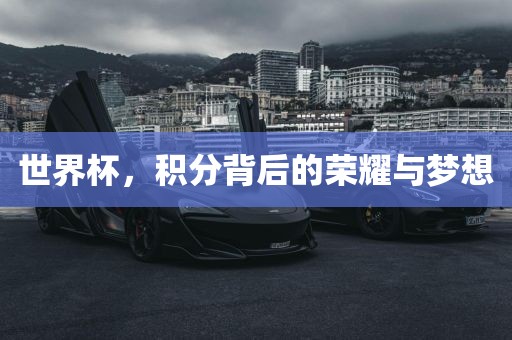 世界杯，积分背后的荣耀与梦想