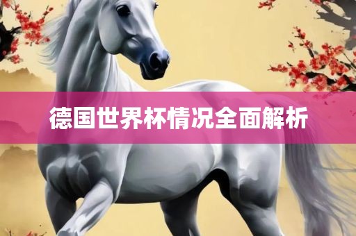 德国世界杯情况全面解析