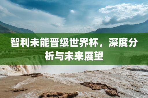 智利未能晋级世界杯，深度分析与未来展望