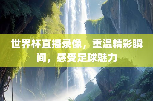 世界杯直播录像，重温精彩瞬间，感受足球魅力