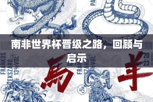 南非世界杯晋级之路，回顾与启示