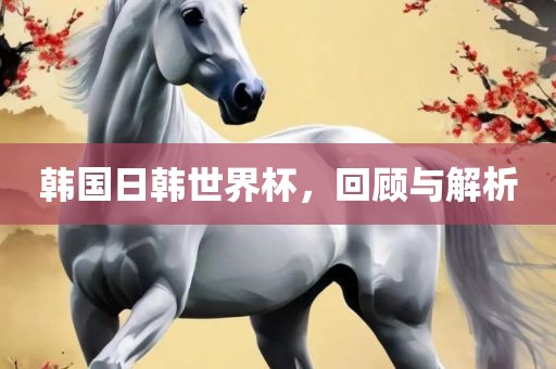 韩国日韩世界杯，回顾与解析