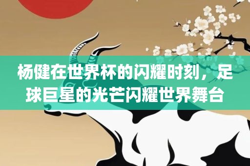杨健在世界杯的闪耀时刻，足球巨星的光芒闪耀世界舞台