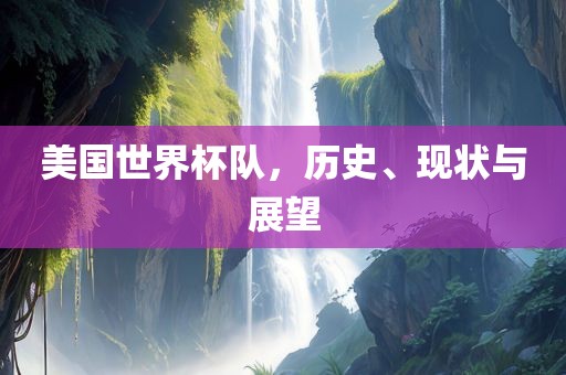 美国世界杯队，历史、现状与展望