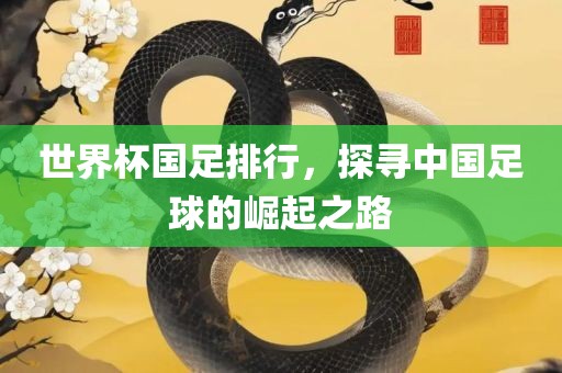 世界杯国足排行，探寻中国足球的崛起之路