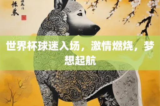 世界杯球迷入场，激情燃烧，梦想起航
