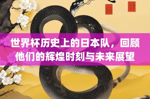 世界杯历史上的日本队，回顾他们的辉煌时刻与未来展望吉安市靖泰电力工程有限公司