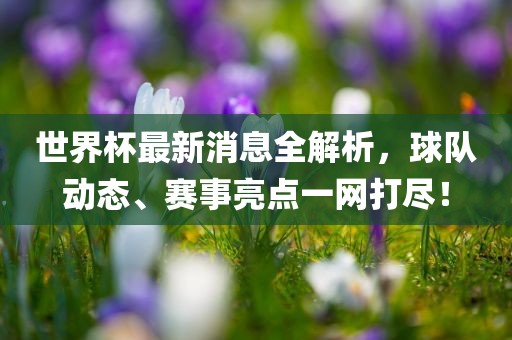 世界杯最新消息全解析，球队动态、赛事亮点一网打尽！