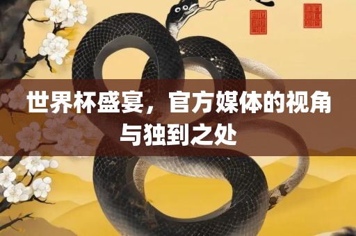 世界杯盛宴，官方媒体的视角与独到之处