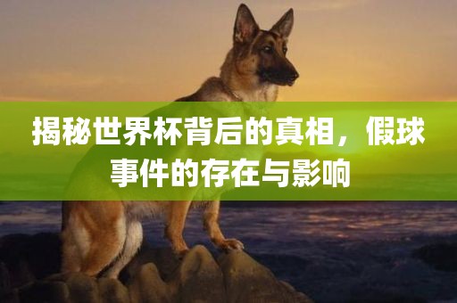 揭秘世界杯背后的真相，假球事件的存在与影响