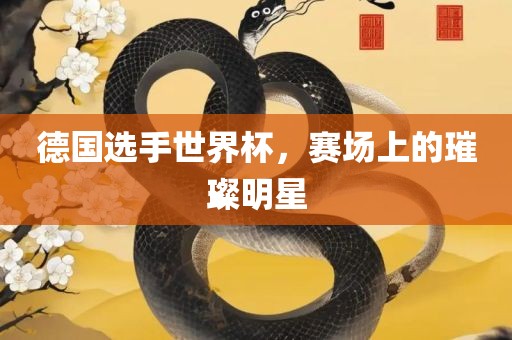 德国选手世界杯，赛场上的璀璨明星