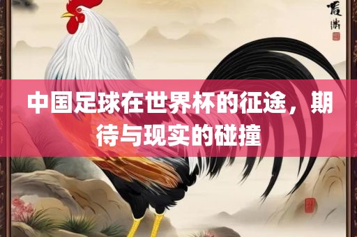 中国足球在世界杯的征途，期待与现实的碰撞