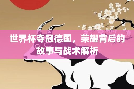 世界杯夺冠德国，荣耀背后的故事与战术解析