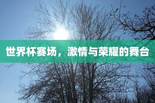 世界杯赛场，激情与荣耀的舞台