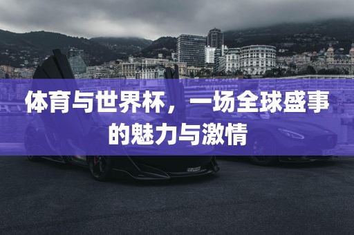 体育与世界杯，一场全球盛事的魅力与激情