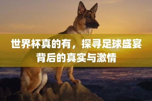 世界杯真的有，探寻足球盛宴背后的真实与激情