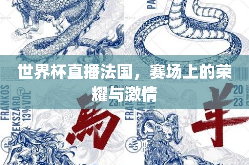 世界杯直播法国，赛场上的荣耀与激情