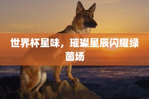 世界杯星味，璀璨星辰闪耀绿茵场