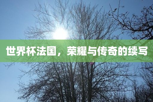 世界杯法国，荣耀与传奇吉安市靖泰电力工程有限公司的续写