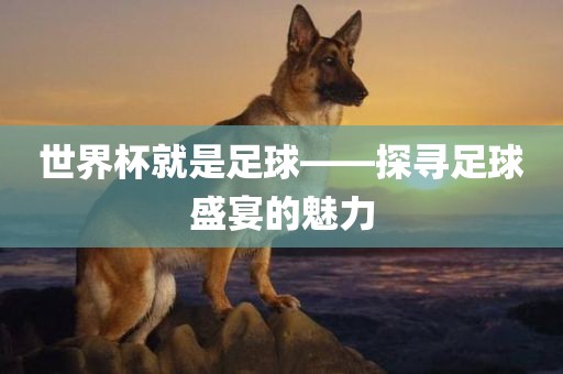世界杯就是足球——探寻足球盛宴的魅力
