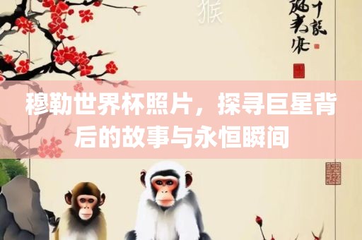 穆勒世界杯照片，探寻巨星背后的故事与永恒瞬间