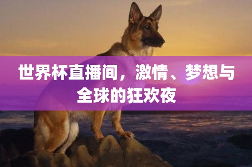 世界杯直播间，激情、梦想与全球的狂欢夜
