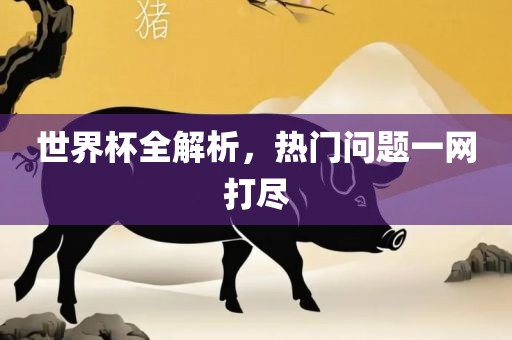 世界杯全解析，热门问题一网打尽