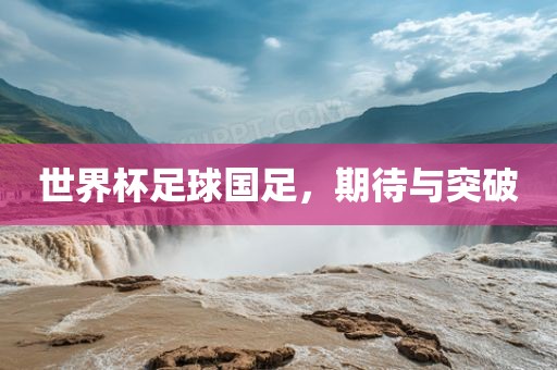 世界杯足球国足，期待与突破