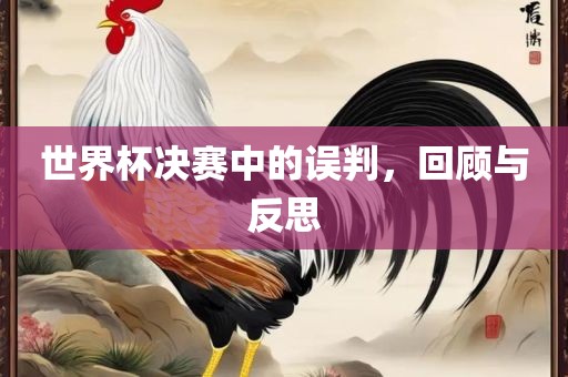 世界杯决赛中的误判，回顾与反思