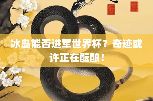 冰岛能否进军世界杯？奇迹或许正在酝酿！