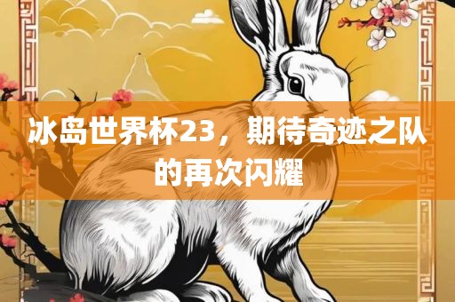 冰岛世界杯23，期待奇迹之队的再次闪耀