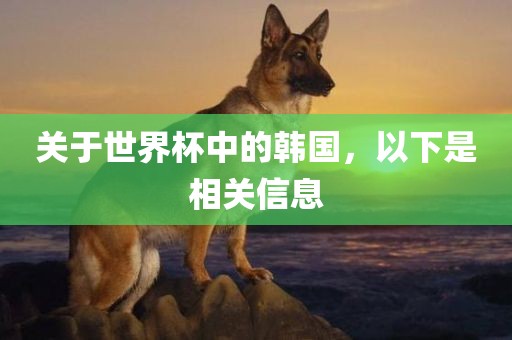 关于世界杯中的韩国，以下吉安市靖泰电力工程有限公司是相关信息