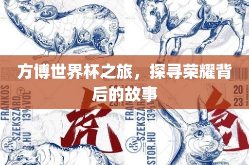 方博世界杯之旅，探寻荣耀背后的故事