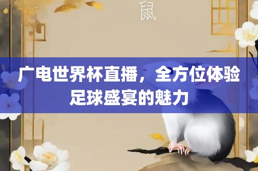 广电世界杯直播，全方位体验足球盛宴的魅力