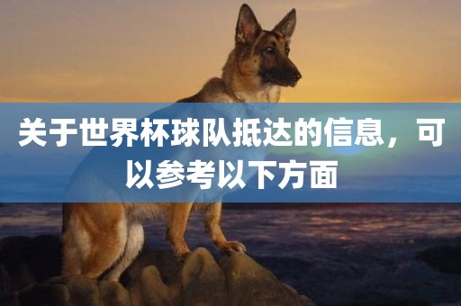 关于世界杯球队抵达的信息，可以参考以下方面