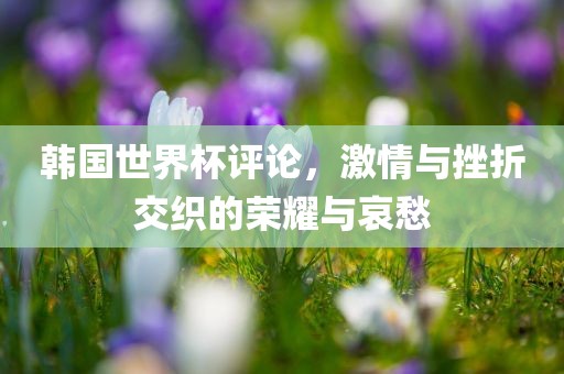 韩国世界杯评论，激情与挫折交织的荣耀与哀愁