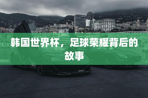 韩国世界杯，足球荣耀背后的故事吉安市靖泰电力工程有限公司