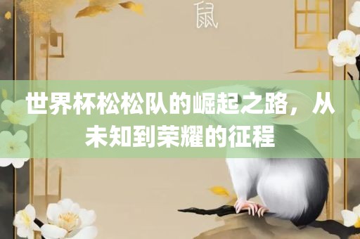 世界杯松松队的崛起之路，从未知到荣耀的征程