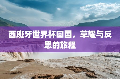 西班牙世界杯回国，荣耀与反思的旅程