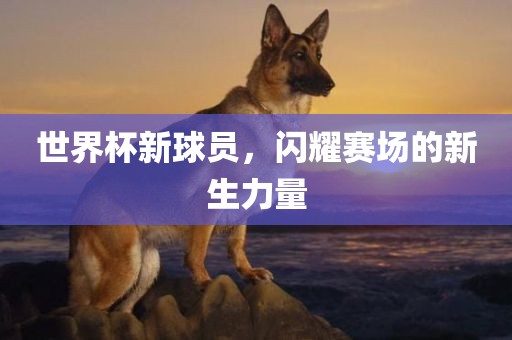 世界杯新球员，闪耀赛场的新生力量