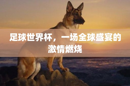 足球世界杯，一场全球盛宴的激情燃烧