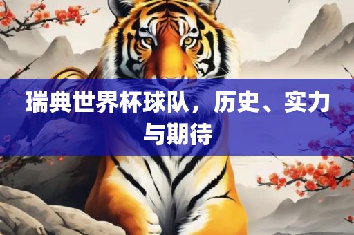 瑞典世界杯球队，历史、实力与期待
