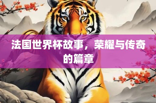 法国世界杯故事，荣耀与传奇的篇章