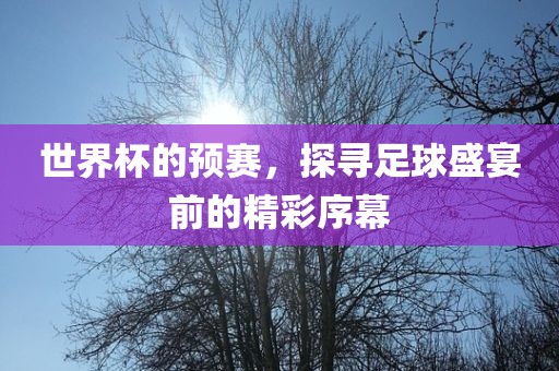 世界杯的预赛，探寻足球盛宴前的精彩序幕