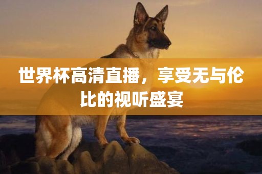 世界杯高清直播，享受无与伦比的视听盛宴
