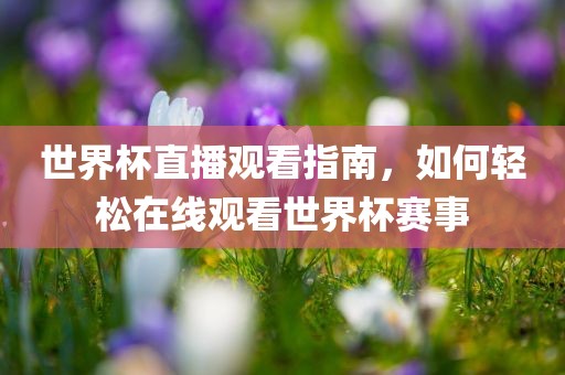 世界杯直播观看指南，如何轻松在线观看世界杯赛事
